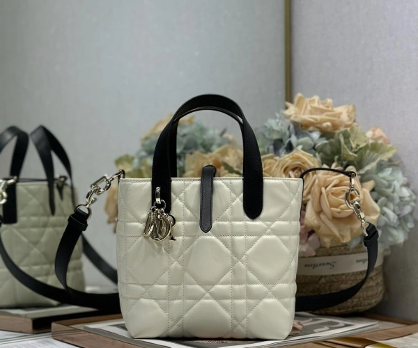 迪奥包包一般多少价位_迪奥包包价格范围解析