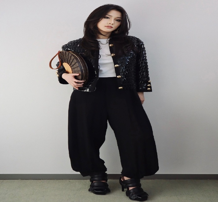 LV FAN 手袋  m14804 老花（扇子包）模特图