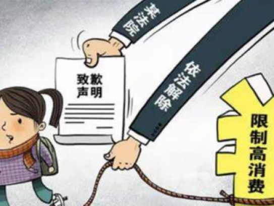 国家对付老赖出行新规(国家针对老赖出行限制新政策)